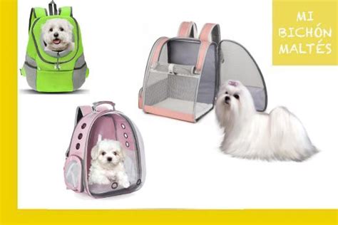 10 EXCELENTES Mochilas Para Llevar Perros TOY 2024