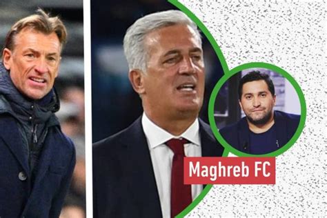 Maghreb Fc Le Blog De Nabil Djellit Renard Petkovic Quel