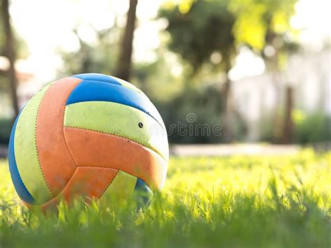 Volleyball Ball Standing on the Grass. Volleyball Ball on Greenery ...