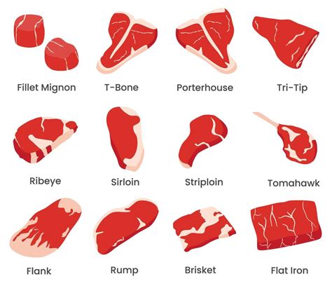 Set Of Beef Meat And Steak Cut Illustration Contain Vector Such As