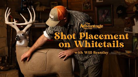 shot placement  whitetail deer  advantage