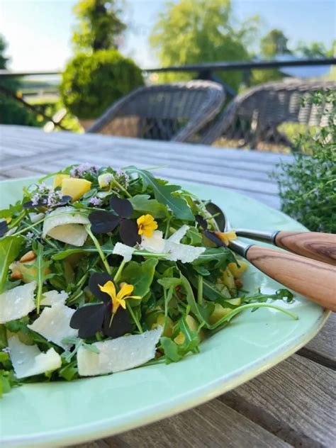 Skøn kartoffelsalat med rucola ristede pinjekerner parmesan