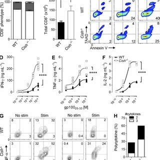 cish induction  tcr stimulation dependent  induction  cish gene