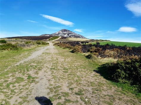 Hiking the Sugarloaf Mountain Wicklow — Our Family Hikes