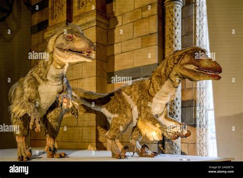 Dinosaurios Animatronic Fotografías E Imágenes De Alta Resolución Alamy