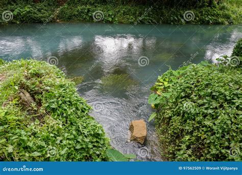 Brook Stock Image Image Of Nature Park Moss Beautiful 97562509