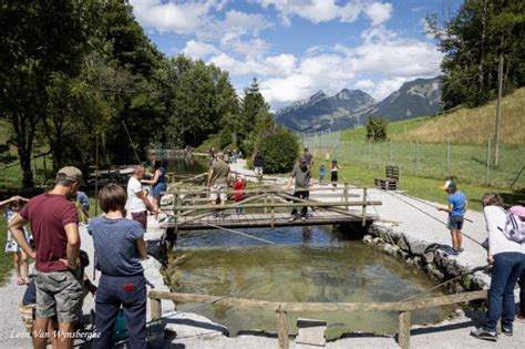 Bienvenue La Pisciculture De La Gruy Re Pisciculture De La Gruy Re