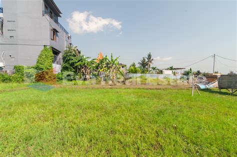 Beautiful Freehold Land with Rice Field View - Eva Real Estate