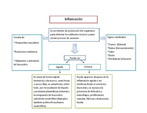 Mapa Conceptual Inflamacion Inflamación Ciencias De La Salud