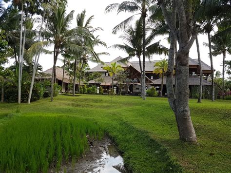 Pool The Ubud Village Resort Spa Ubud Holidaycheck Bali