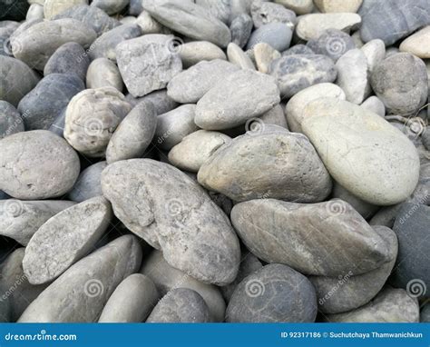 Pebble Stone Background Outdoor Natural River White Grey Rock Pebble