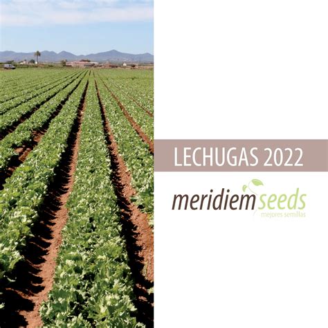 Lechuga Meridiem Seeds 2022 By Meridiem Seeds Issuu