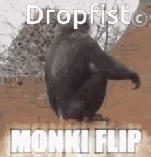 Flairwars Pecking GIF - Flairwars Pecking Dog - Discover & Share GIFs