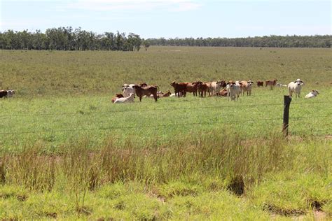 Sold Rydan Rubyvale Qld Rbv Rural Pty Ltd