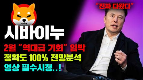 시바이누 긴급 정확도 100 전망분석 2월 역대급 바닥매수 임박 쓸데없는 코인뉴스 이젠 그만 보세요