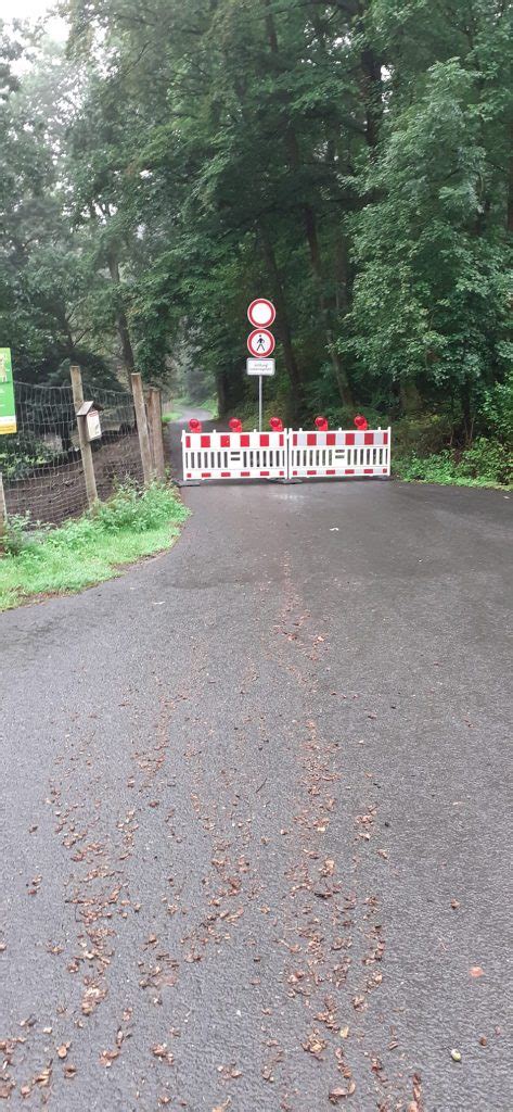 UPDATE 08 09 Der Weg Ist Wieder Offen Wildgehege Herborn