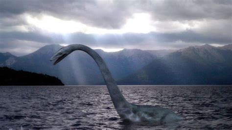 Otros Monstruos Marinos Casi Tan Famosos Como El Del Lago Ness