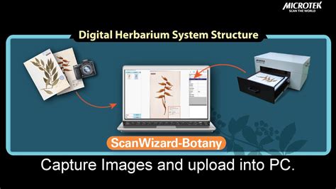 Build Your Digital Herbarium Images And Metadata On The Cloud Youtube