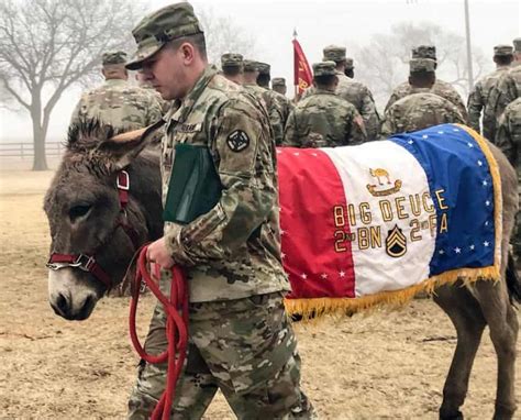 Army Mascot Receives Promotion – WARHorses