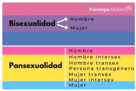 Qué Es La Pansexualidad Definición Y Características