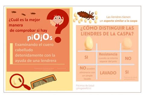 Preguntas Frecuentes Sobre Piojos Pocimas De Salud