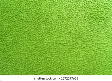 138,629 Green Skin Texture Stock Photos, Images & Photography | Shutterstock