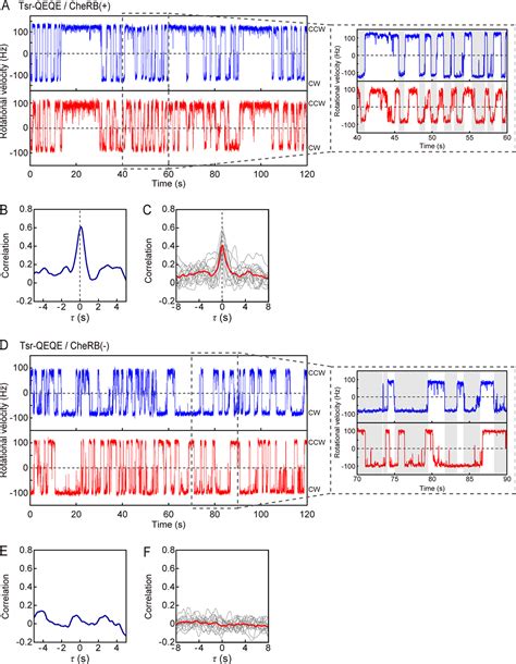 The Chemoreceptor Sensory Adaptation System Produces Coordinated