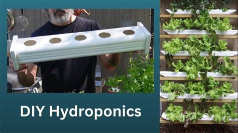 Everything You Need To Know About Off Grid Hydroponics In A Downspout Growbox Hydroponics