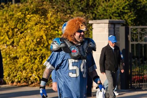 Detroit Lions' Request For A Live Animal Mascot Approved By NFL