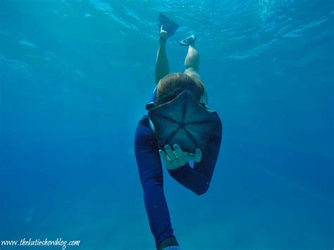 Snorkeling Tips And Tricks For Beginners