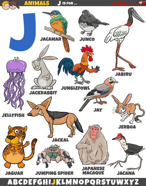 cartoon animal characters for letter J educational set 31688660 Vector ...