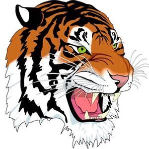 The Elida Tigers - ScoreStream