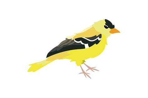 Iowa State Bird - American Goldfinch SVG Cut file by Creative Fabrica ...