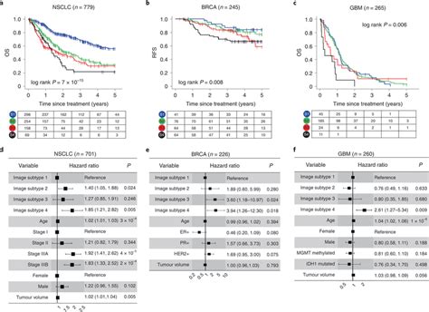 Evaluation Of Prognostic Value Of The Four Imaging Subtypes In Three