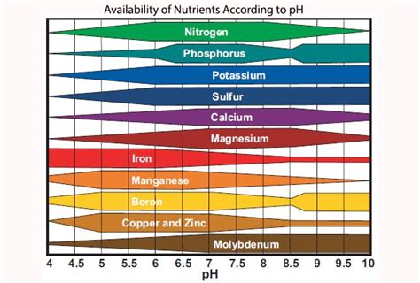 Ph Nutrient Absorption Chart