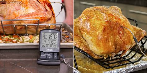 How To Cook A Turkey—turkey Temperatures Thermoworks