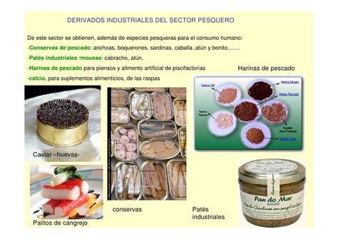 Substantivo Derivado De Mar - Substantivos Derivados De Mar - NAZAEDU