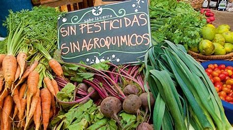 La feria agroecológica que recorre todo Buenos Aires Noticias