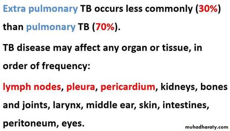 Tuberculosis TB Pptx D Muslim Muhadharaty