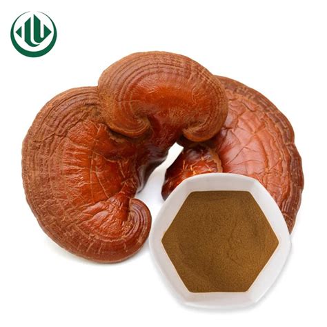 Oem Polysaccharide Lingzhi Mushroom Extract Ganoderma Powder Reishi