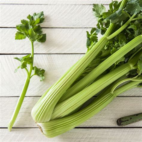 Benefits Of Celery Nutrition Facts Recipes And More Dr Axe Celery Benefits Celery