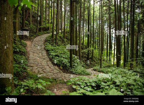 Walking The Cobblestone Road Following The Nakasendo Trail Between