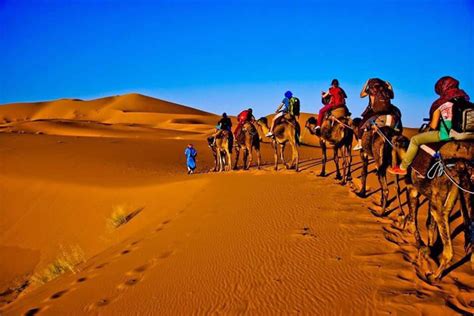 Morocco Camel Trekking - Overnight Camel Trek Merzouga