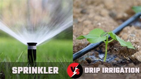 Drip Irrigation Or Sprinkler What Is The Best Option For Your Garden