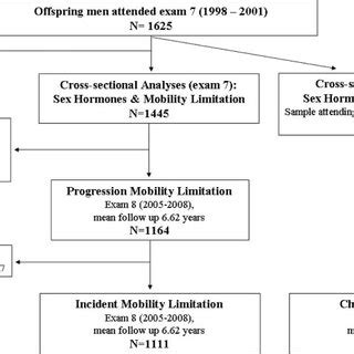 Longitudinal Relations Between Baseline Circulating Sex Hormone Levels
