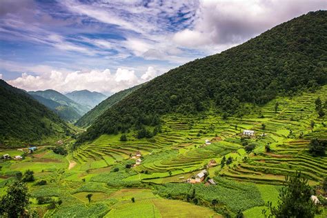 paddy fields  nepal rice  great  youre  hungr flickr