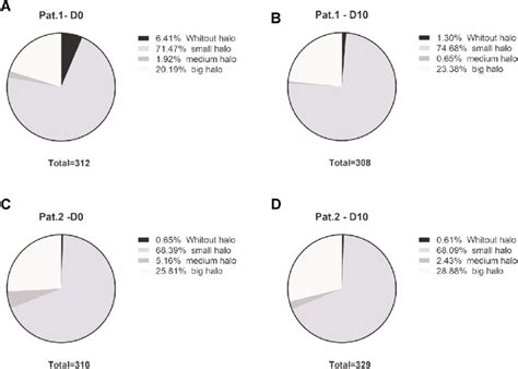 Validation Of Polymerase Chain Reaction Based Dna Fragmentation