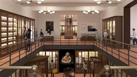 Mütter Museum to double its display of medical history - WHYY