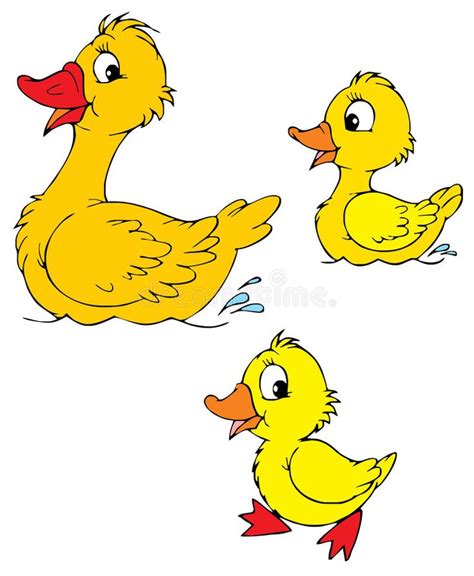 Ducklings Clipart