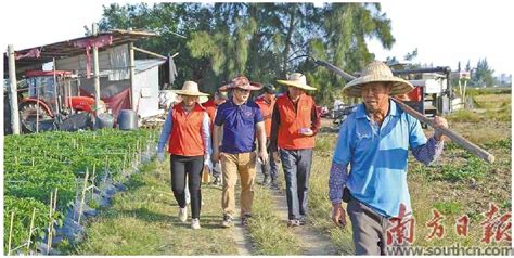 土地进了“托儿所”农民甩手当“掌柜”托管服务农户耕作